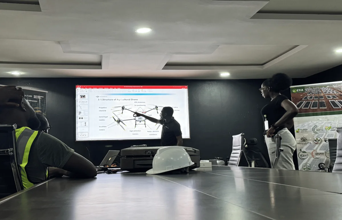 Building Cross-Border Human Capacity Across 17 African Nations